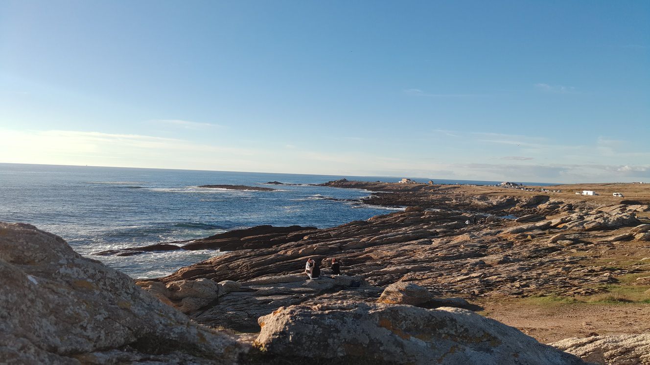 Odoo - Sample 1 for three columns