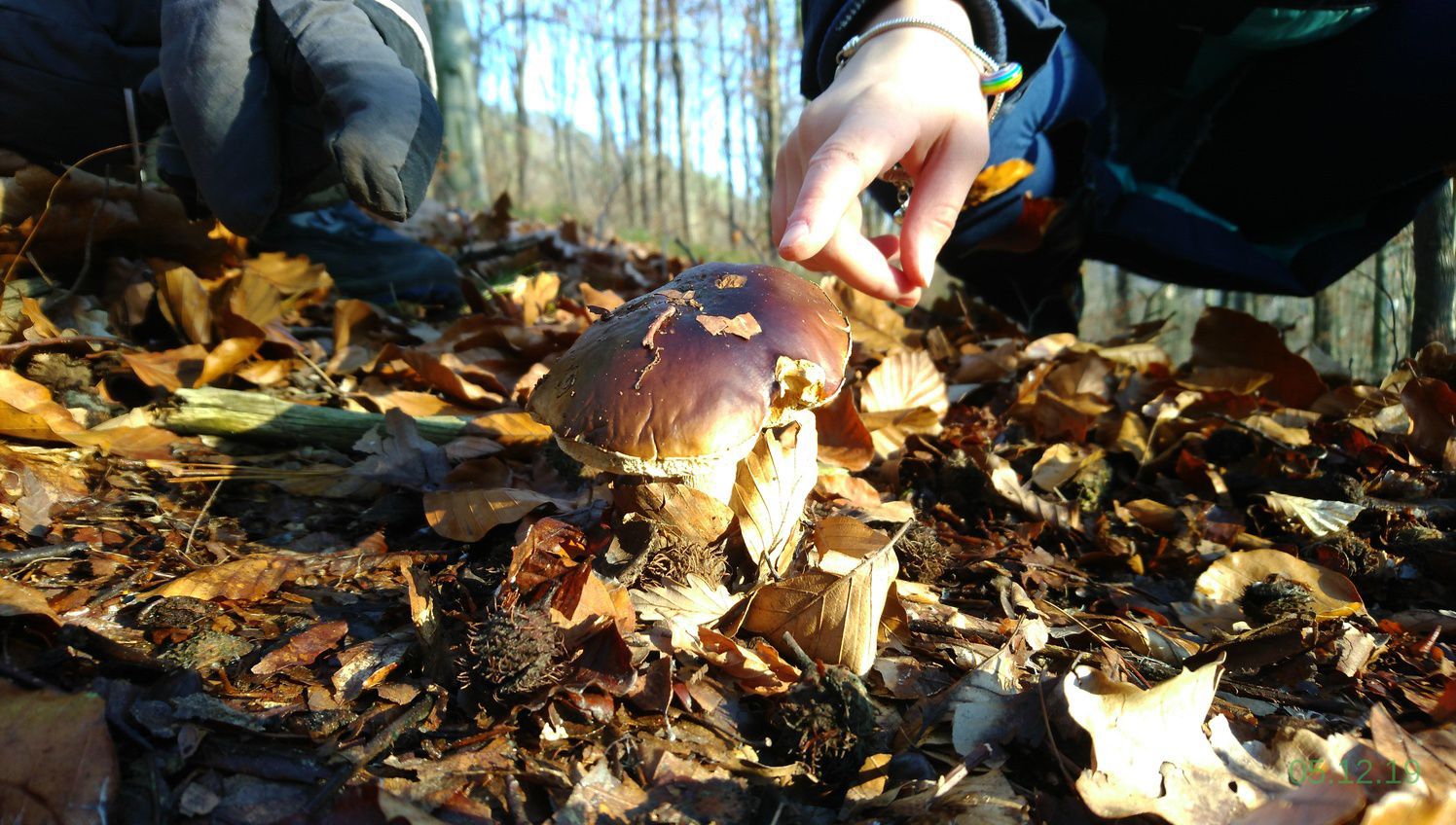 Odoo - Sample 2 for three columns