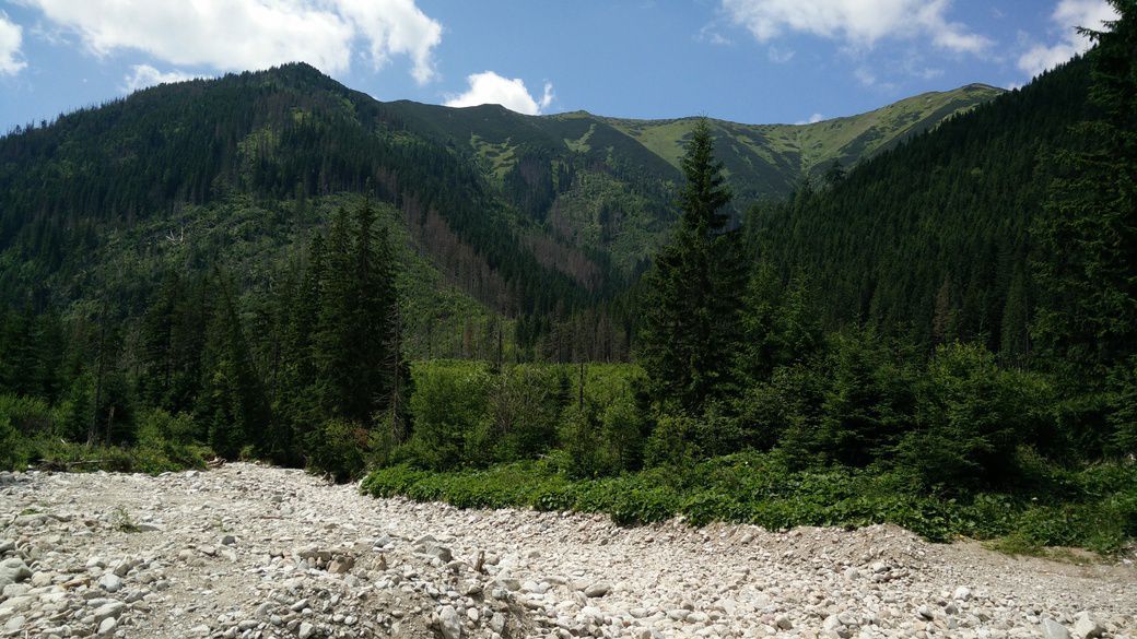 Odoo - Sample 3 for three columns