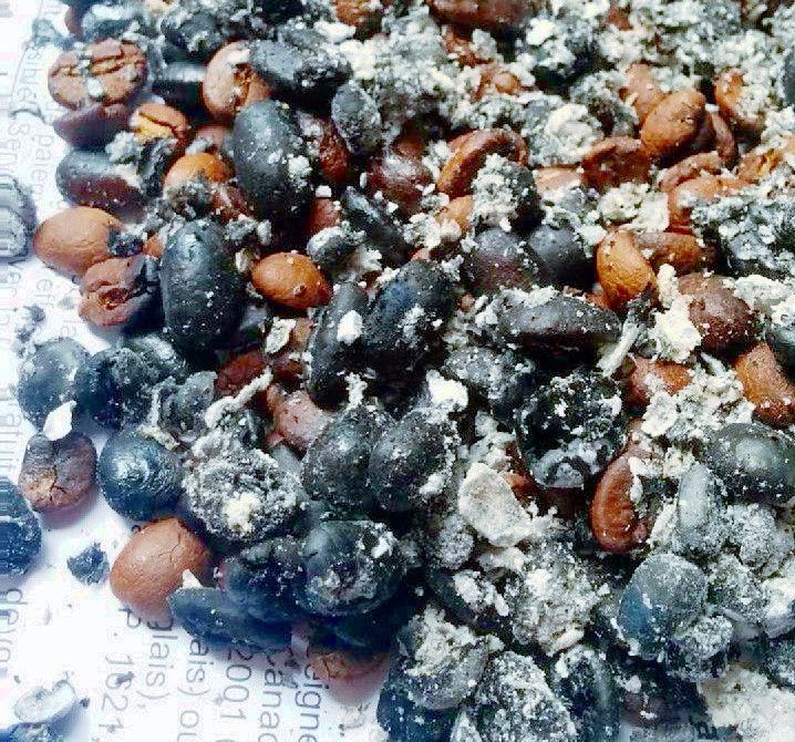 Odoo image and text block